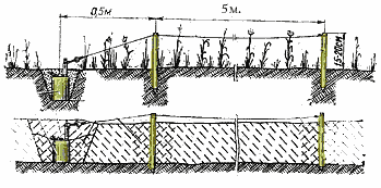 ozm-3-2.gif (9282 bytes)